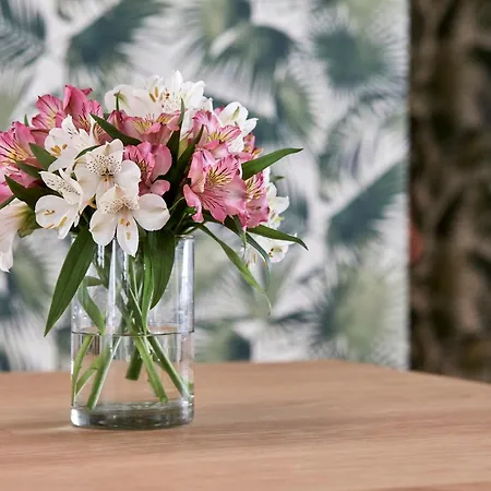 Hm Dunas Blancas Hotel Playa de Palma (Mallorca)