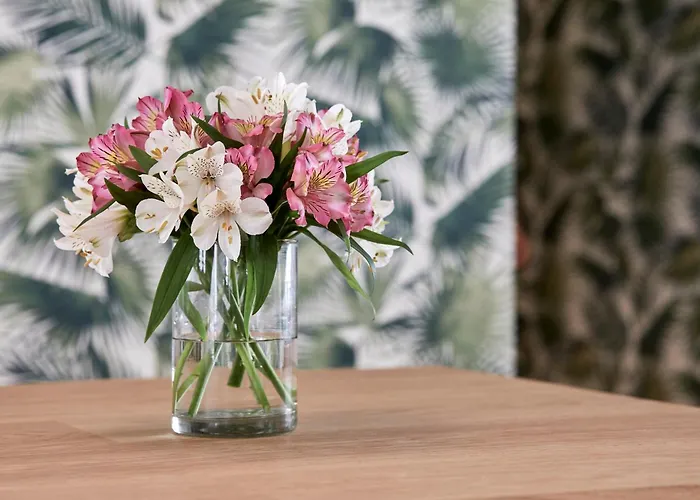 Hm Dunas Blancas Hotel Playa de Palma (Mallorca)